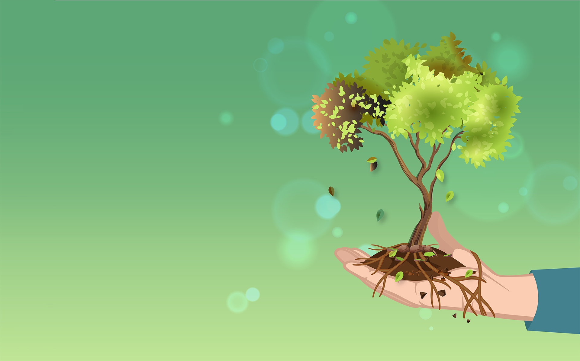 Copertina sintomi e terapia con la naturopatia